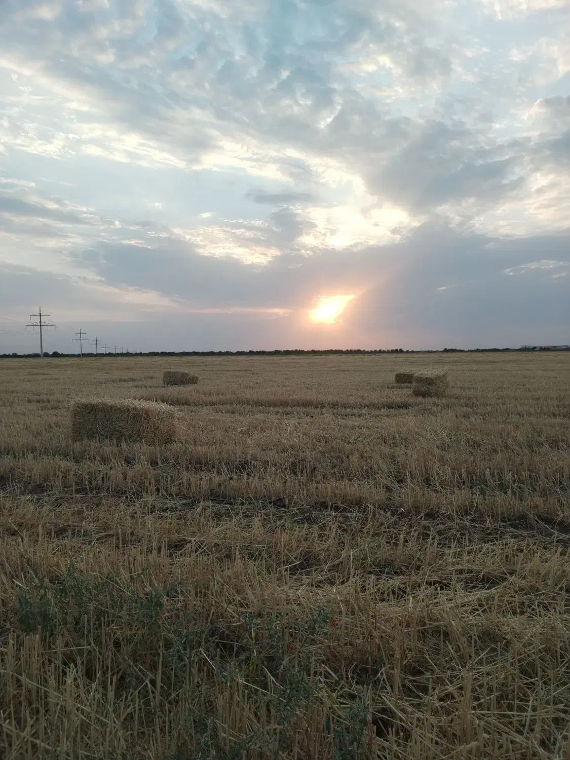 70هکتار زمین براتوبان|فروش دفتر صنعتی، کشاورزی، تجاری|کوهسار (البرز), |دیوار