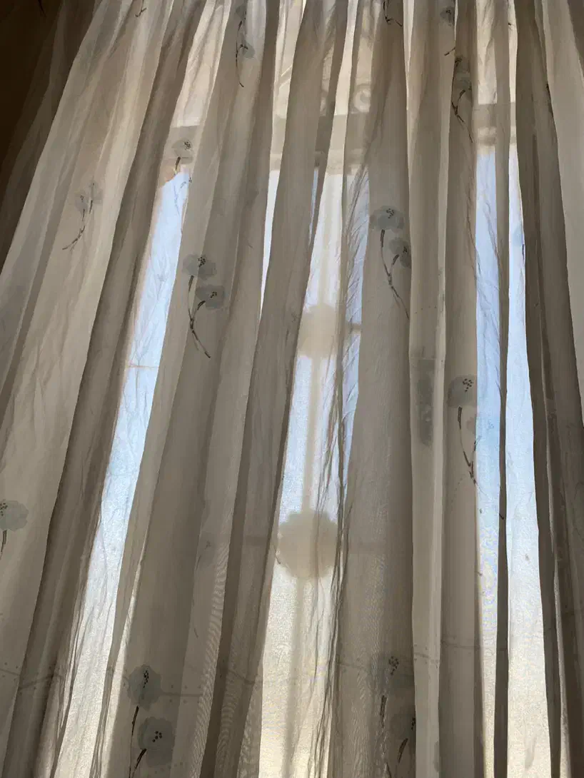 پرده اتاق خواب|پرده، رانر، رومیزی|یاسوج, |دیوار