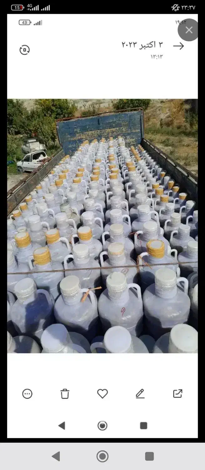 حراج خیارشورکیلویی 35دبه ای ۸کیلو۲۸۰تومن|خوردنی و آشامیدنی|تربت جام, فاز ۱ فرهنگیان|دیوار