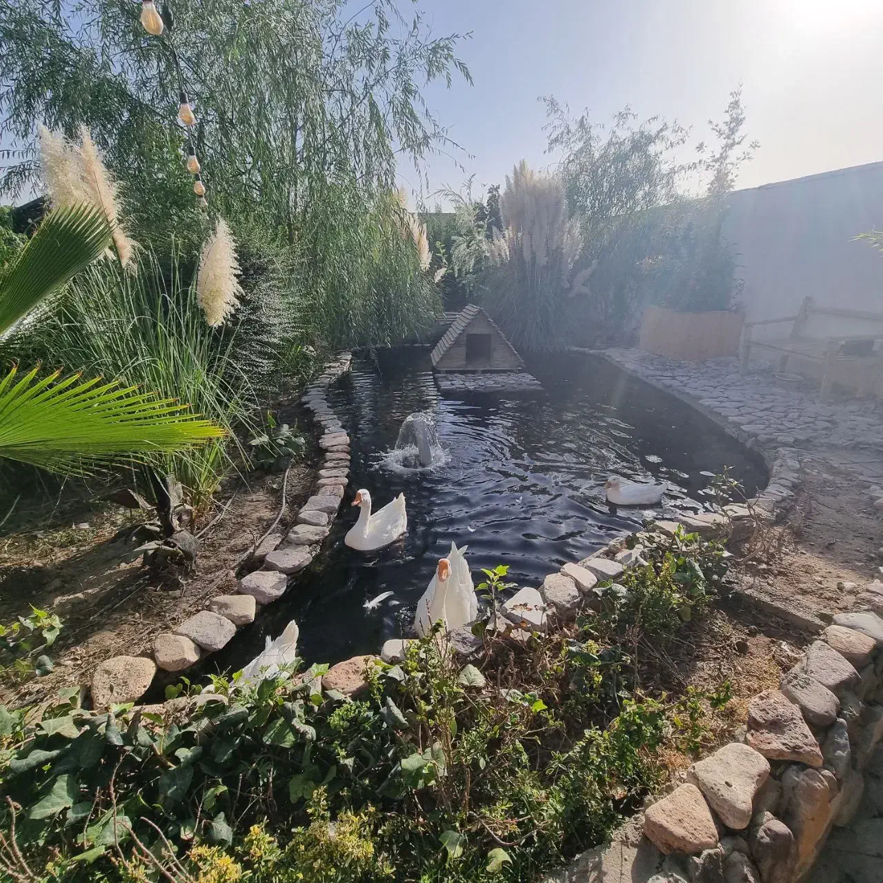 اجاره ویلا/ استخر آب گرم / 1 خواب|اجارهٔ کوتاه‌مدت ویلا و باغ|اصفهان, بوستان ناژوان|دیوار