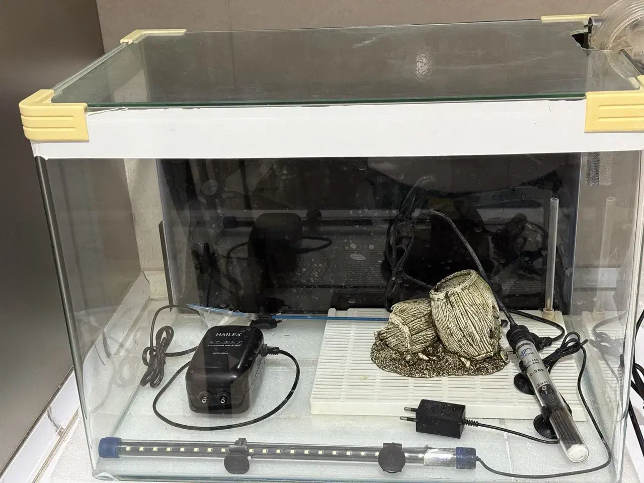 آکواریوم شیشه خم با تمام تجهیزات|ماهی|کردکوی, |دیوار