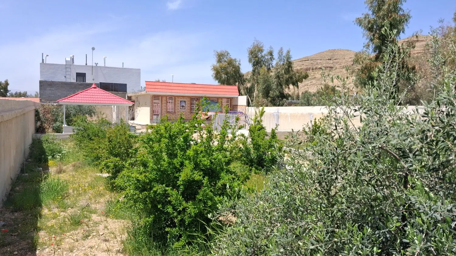 تصویر 2