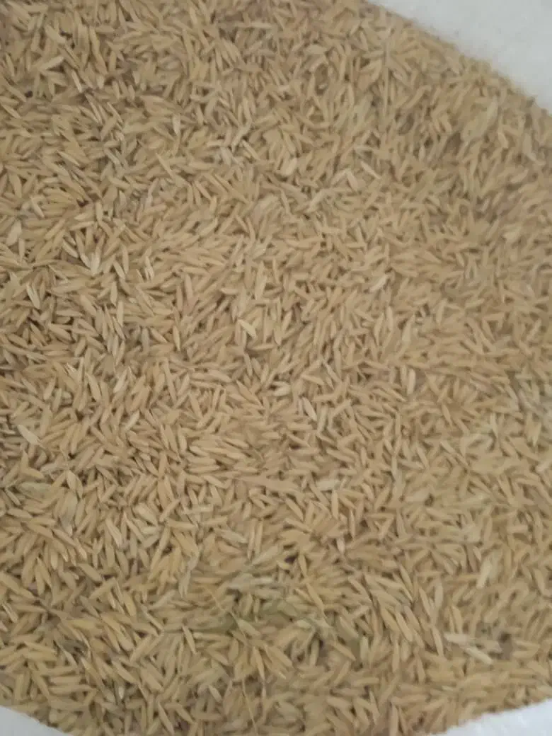 فروش برنج|خوردنی و آشامیدنی|دهدشت, |دیوار