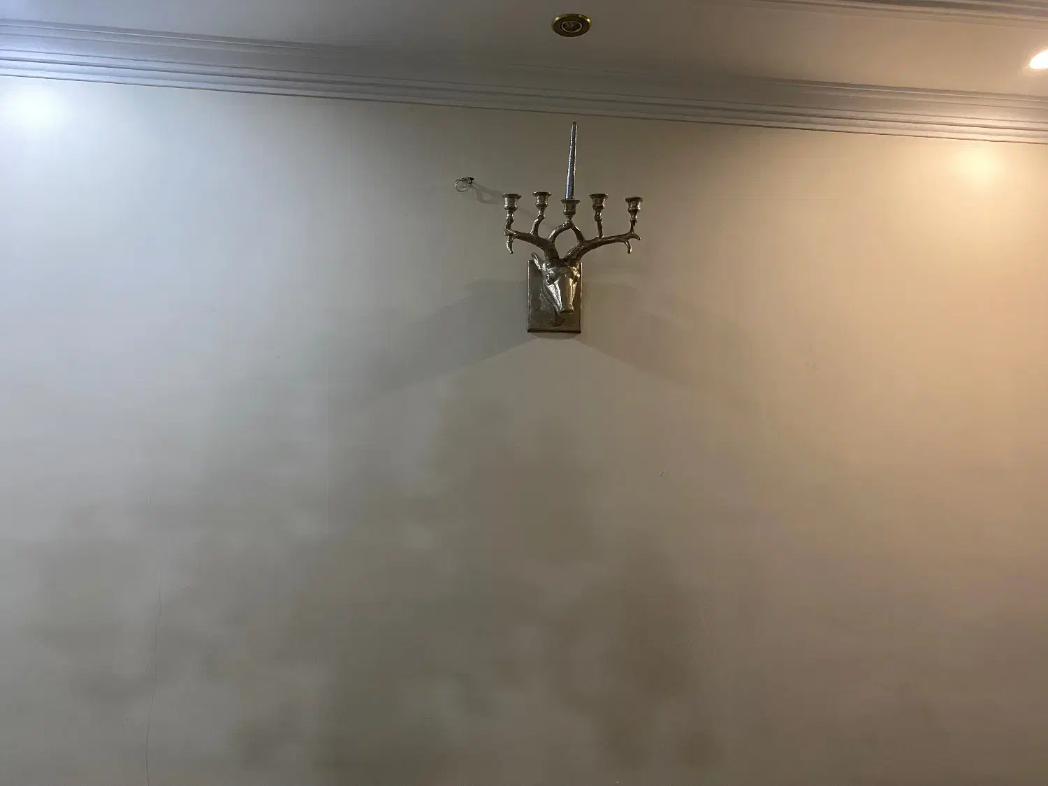 دیوارکوب گوزن|مجسمه، تندیس، ماکت|تهران, افسریه شمالی|دیوار