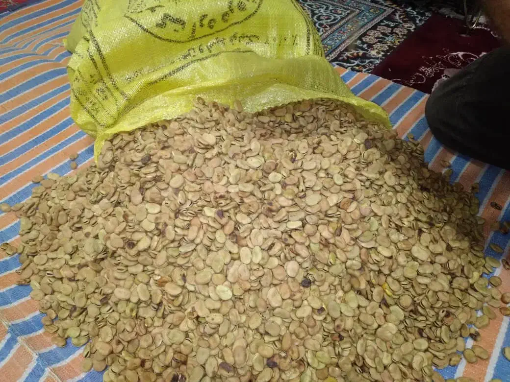 سلام فروش بذر باقلا فروشی ارمو|خدمات باغبانی و درختکاری|ایلام, |دیوار