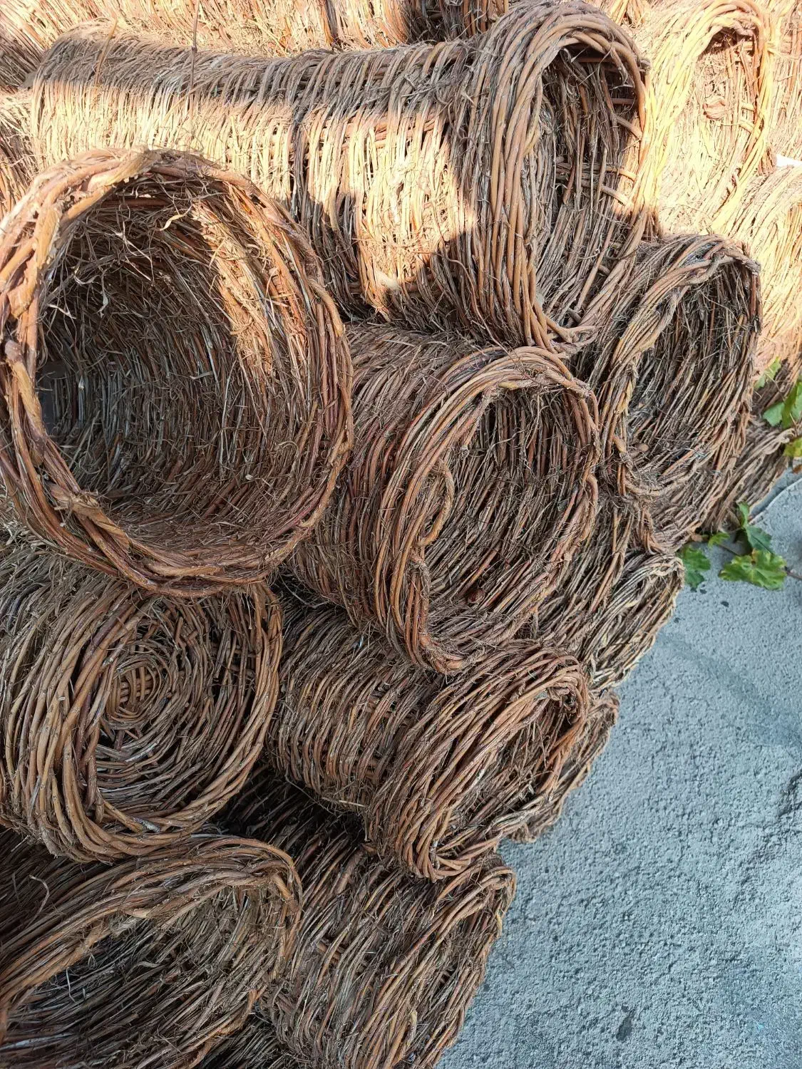 سبد زنبور عسل|لوازم جانبی حیوانات|اسکو, |دیوار