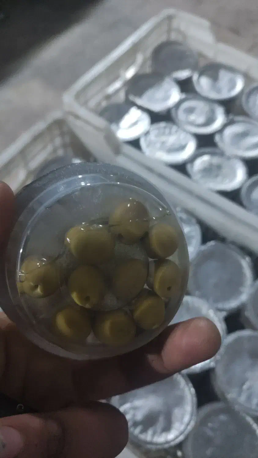 زیتون|خوردنی و آشامیدنی|رشت, آزادگان|دیوار