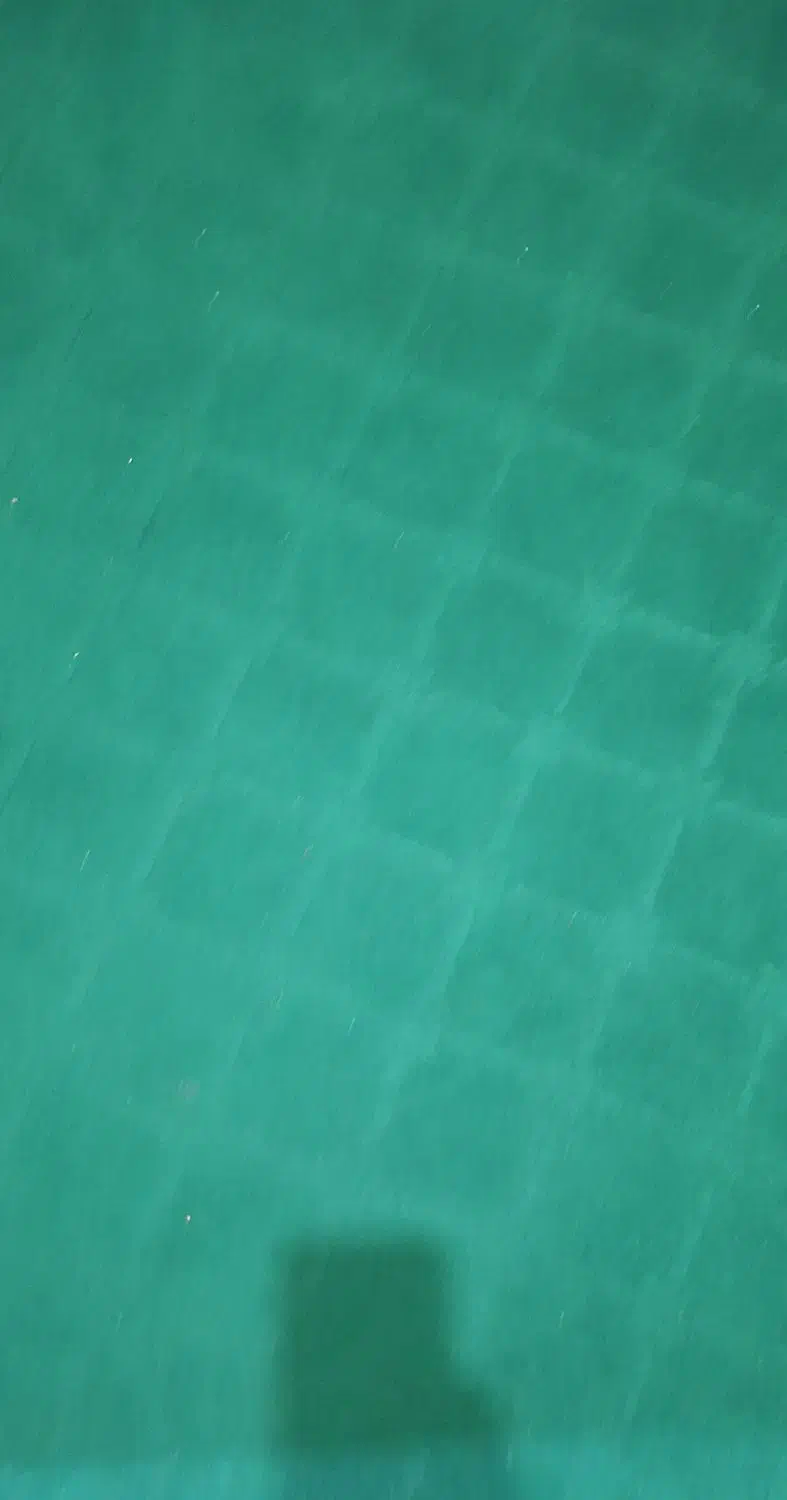 موکت ظریف مصور ۹متری|موکت|ساوه, |دیوار