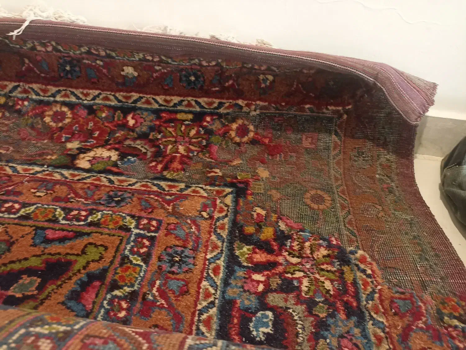 فرش دستباف|فرش|مشهد, تربیت (صدف)|دیوار