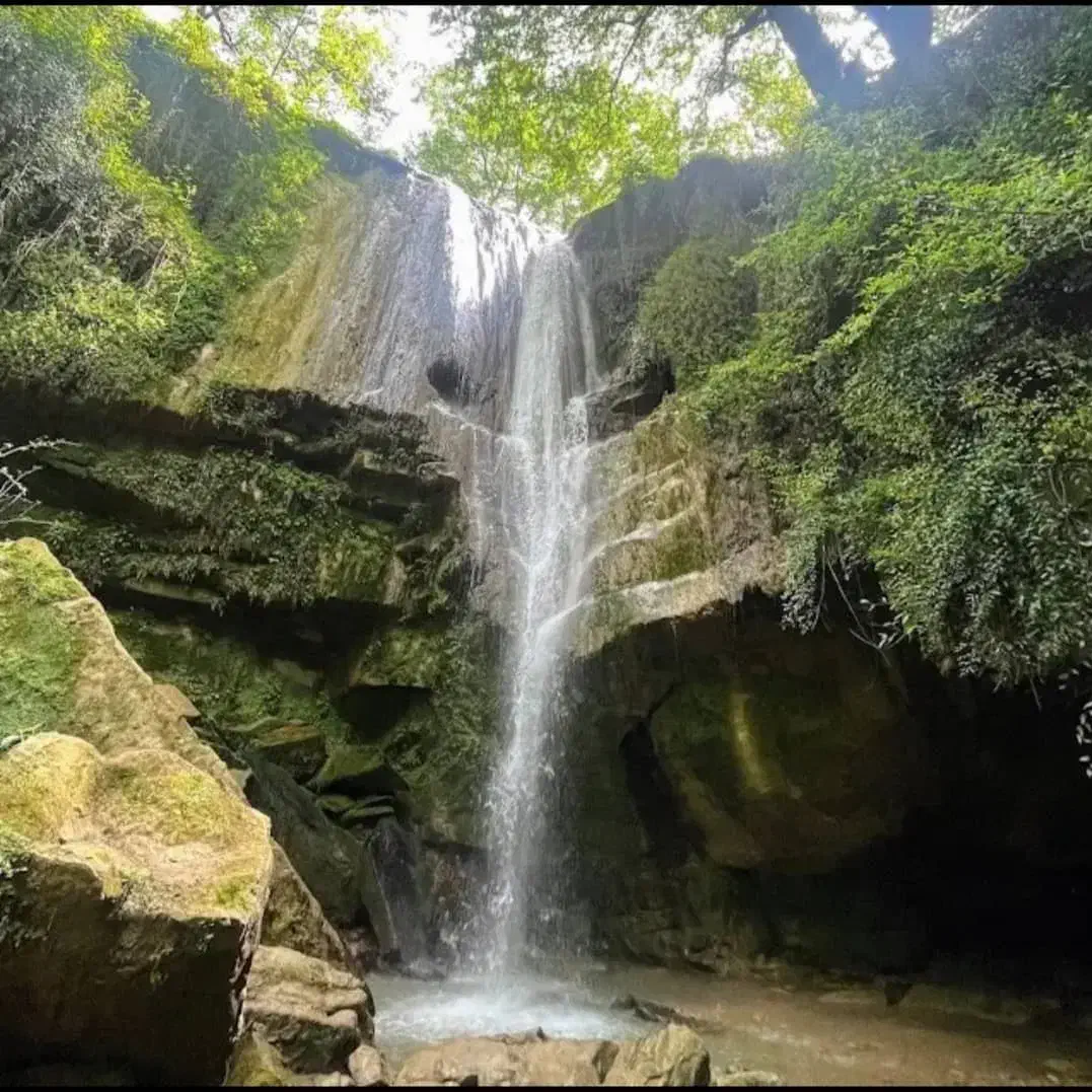 فروش زمین در لفور|فروش زمین و ملک کلنگی|آلاشت, |دیوار