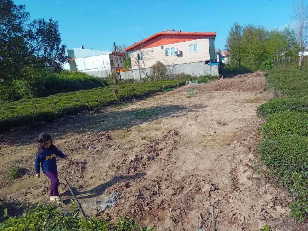 زمین با سند و پروانه|فروش زمین و ملک کلنگی|کومله, |دیوار