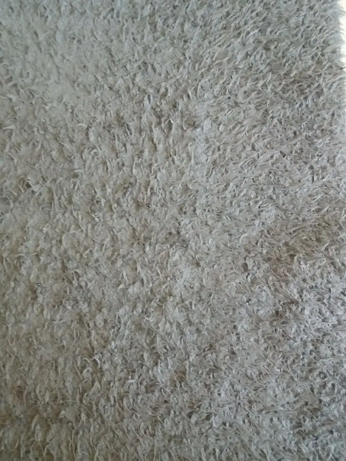 فرش شگی ۶ متری طوسی درحدنو|فرش|کرمانشاه, |دیوار