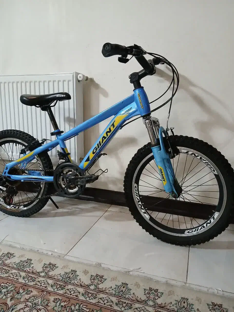 دوچرخه۲۰دنده ای|دوچرخه، اسکیت، اسکوتر|اصفهان, کشاورزی|دیوار