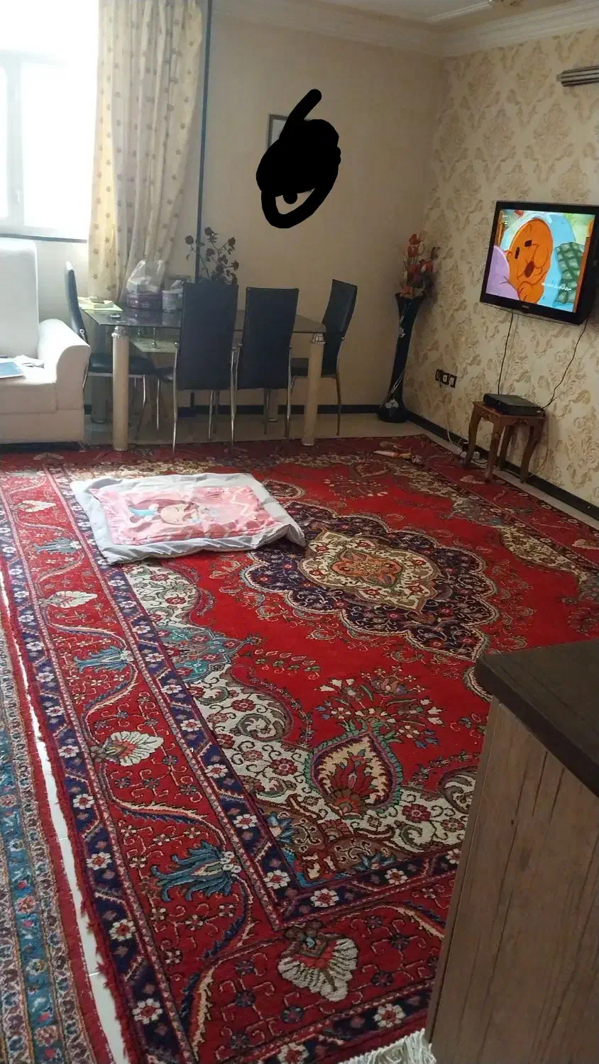 جفت قالی دستباف بدون خرابی|فرش|شیراز, قصرالدشت|دیوار