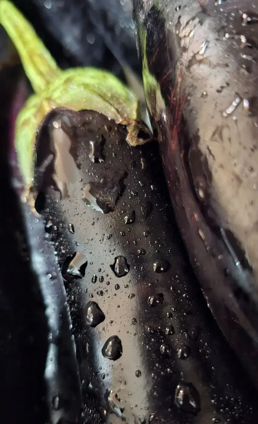 بادمجون سرخ شده|خوردنی و آشامیدنی|تهران, وحیدیه|دیوار