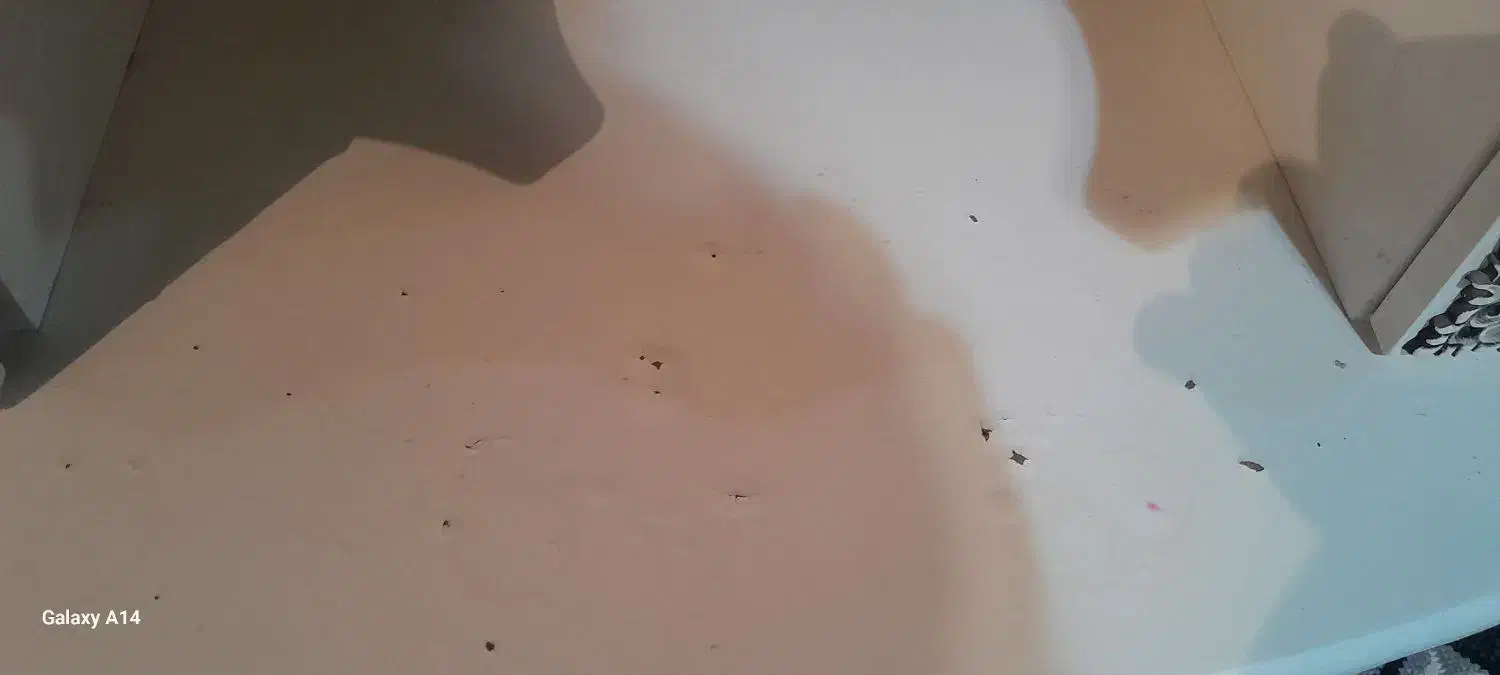 میز تلویزیون|میز تلویزیون|بومهن, |دیوار