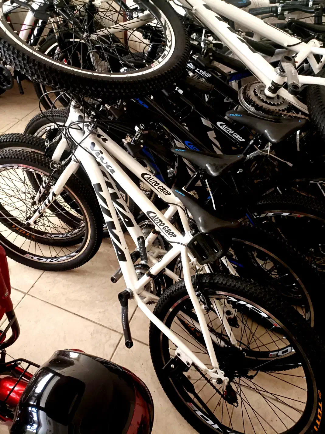 دوچرخه لایت کوین|دوچرخه، اسکیت، اسکوتر|مشهد, جاهد شهر|دیوار