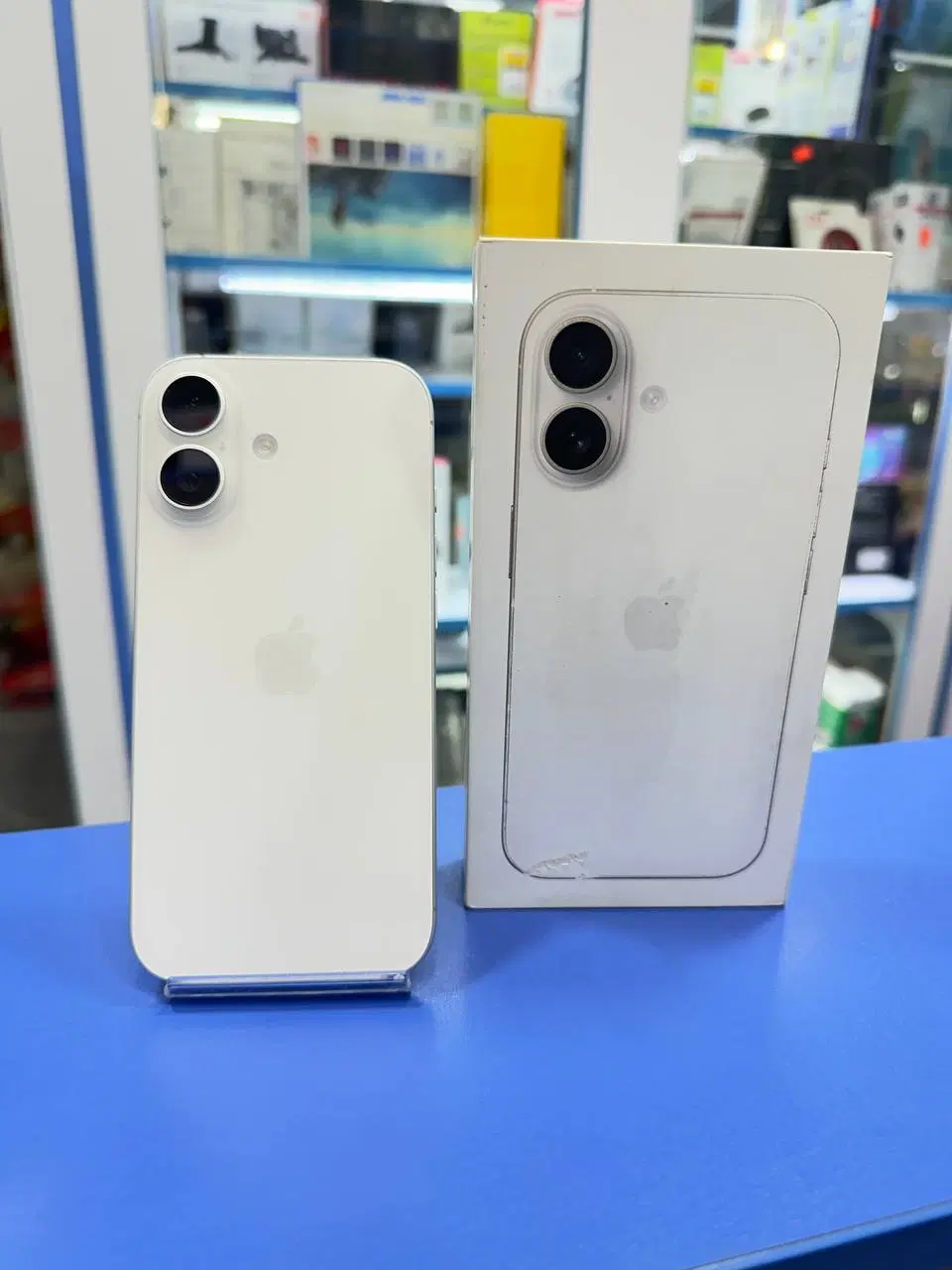 iphone 17|موبایل|رشت, کاکتوس|دیوار