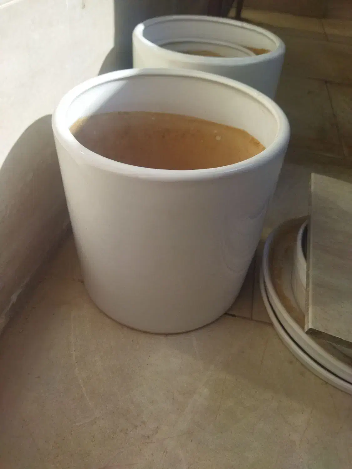 گلدان سرامیکی|گل و گیاه طبیعی|یزد, |دیوار