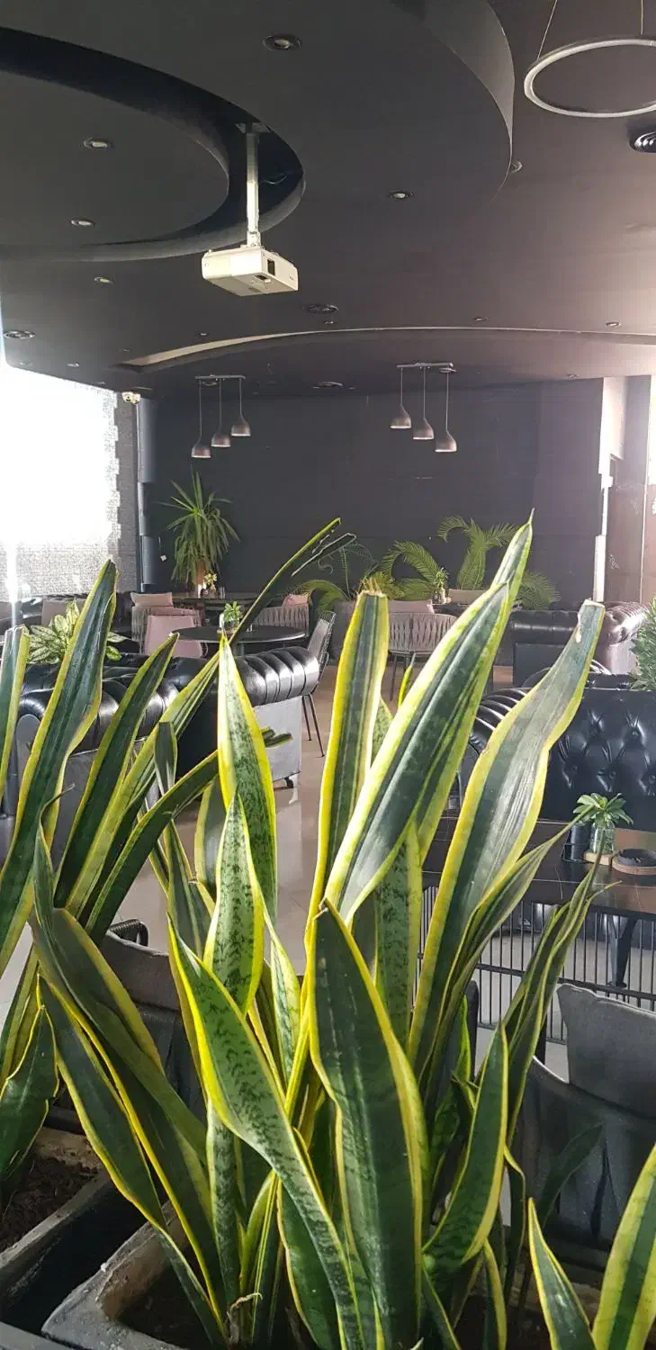 استخدام آشپز و کمک آشپز فست فود حقوق منظم|استخدام خدمات فروشگاه و رستوران|پردیس, فاز ۳|دیوار