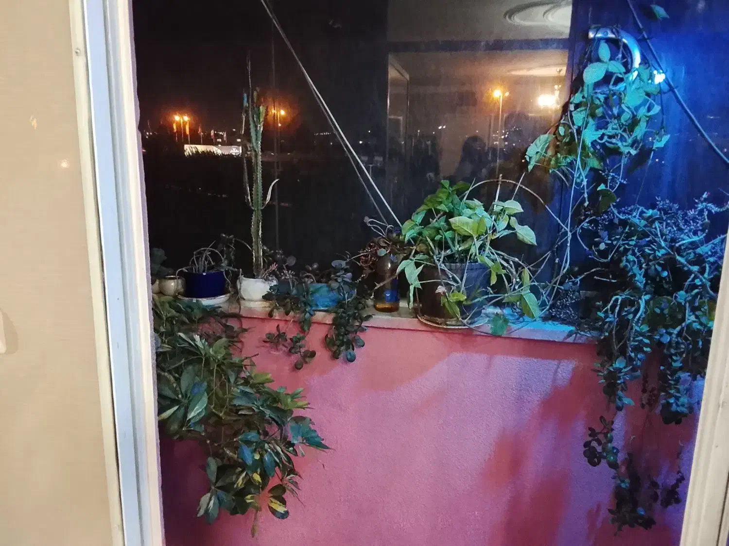 اجاره سویت اپارتمان|اجارهٔ کوتاهمدت آپارتمان و سوئیت|کرج, شهرک دریا|دیوار