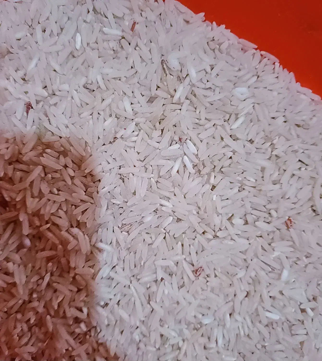 ۴۰کیلو برنج شمیم کیلو ۱۷۵ بابامیدان هست|خوردنی و آشامیدنی|نورآباد ممسنی, |دیوار