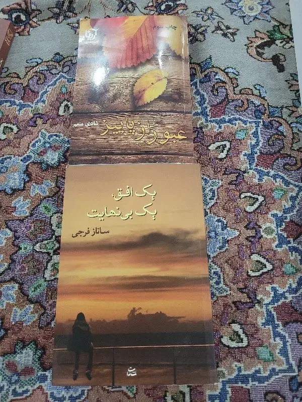 رمان|کتاب و مجله ادبی|تهران, مینای شمالی (مخبر)|دیوار