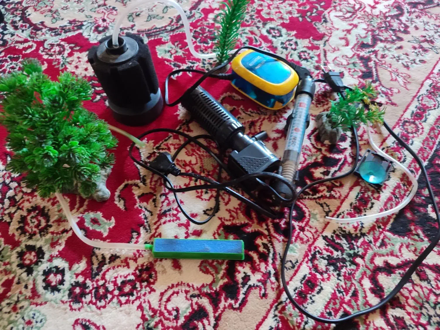 لوازم آکواریوم|ماهی|تبریز, |دیوار