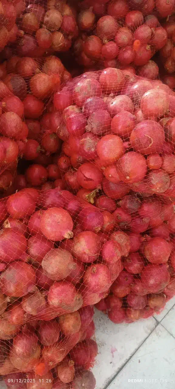 اب انار به صورت عمده و خرده|خوردنی و آشامیدنی|قم, قلعه کامکار|دیوار