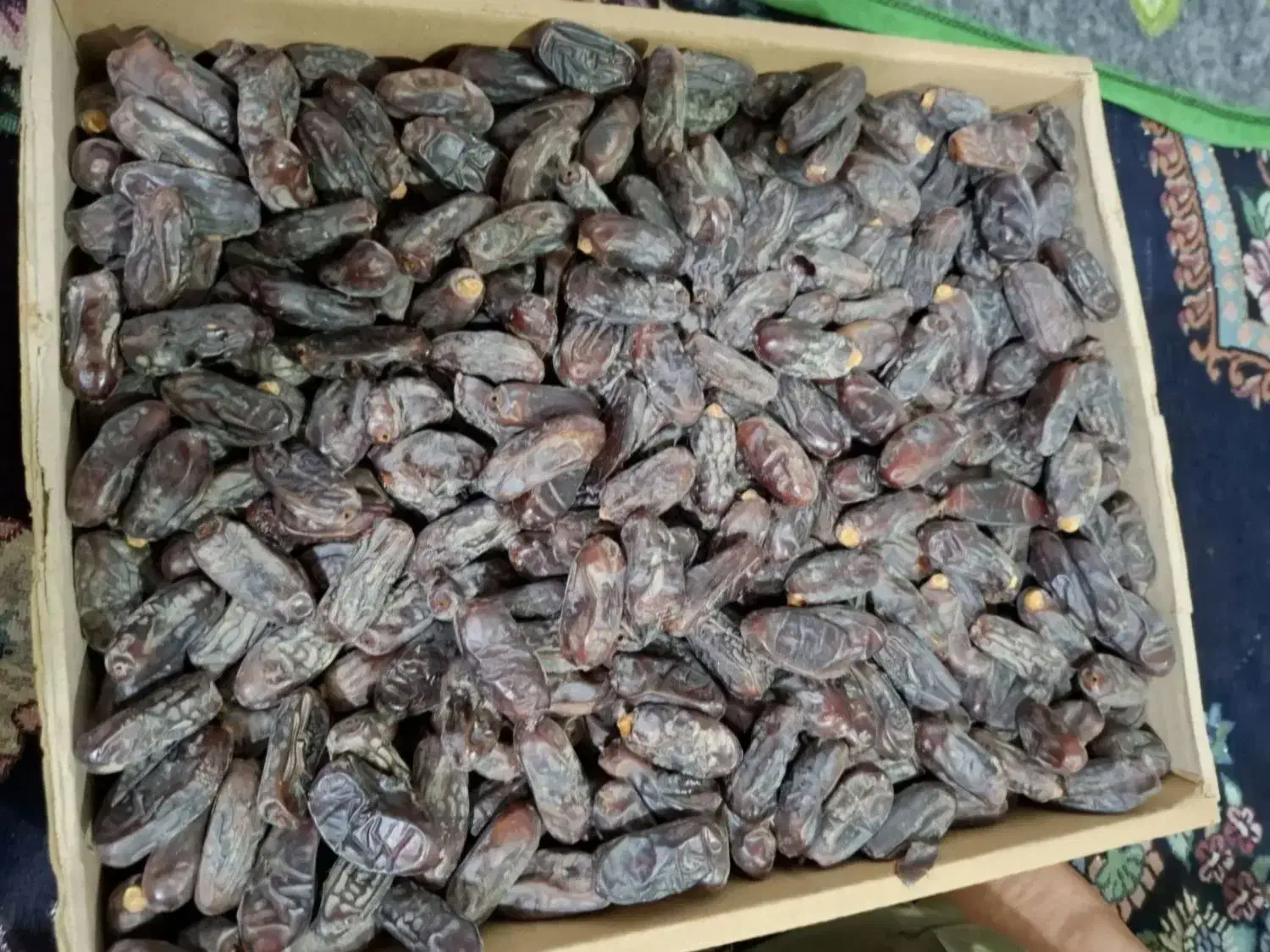 خرما ربی درجه یک|خوردنی و آشامیدنی|ایرانشهر, |دیوار