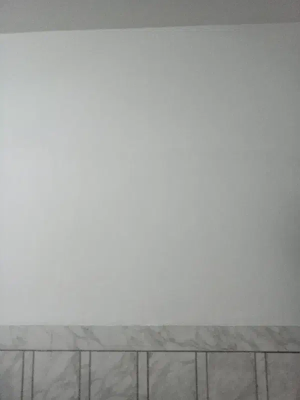 بنایی|خدمات پیشه و مهارت|سیرجان, |دیوار