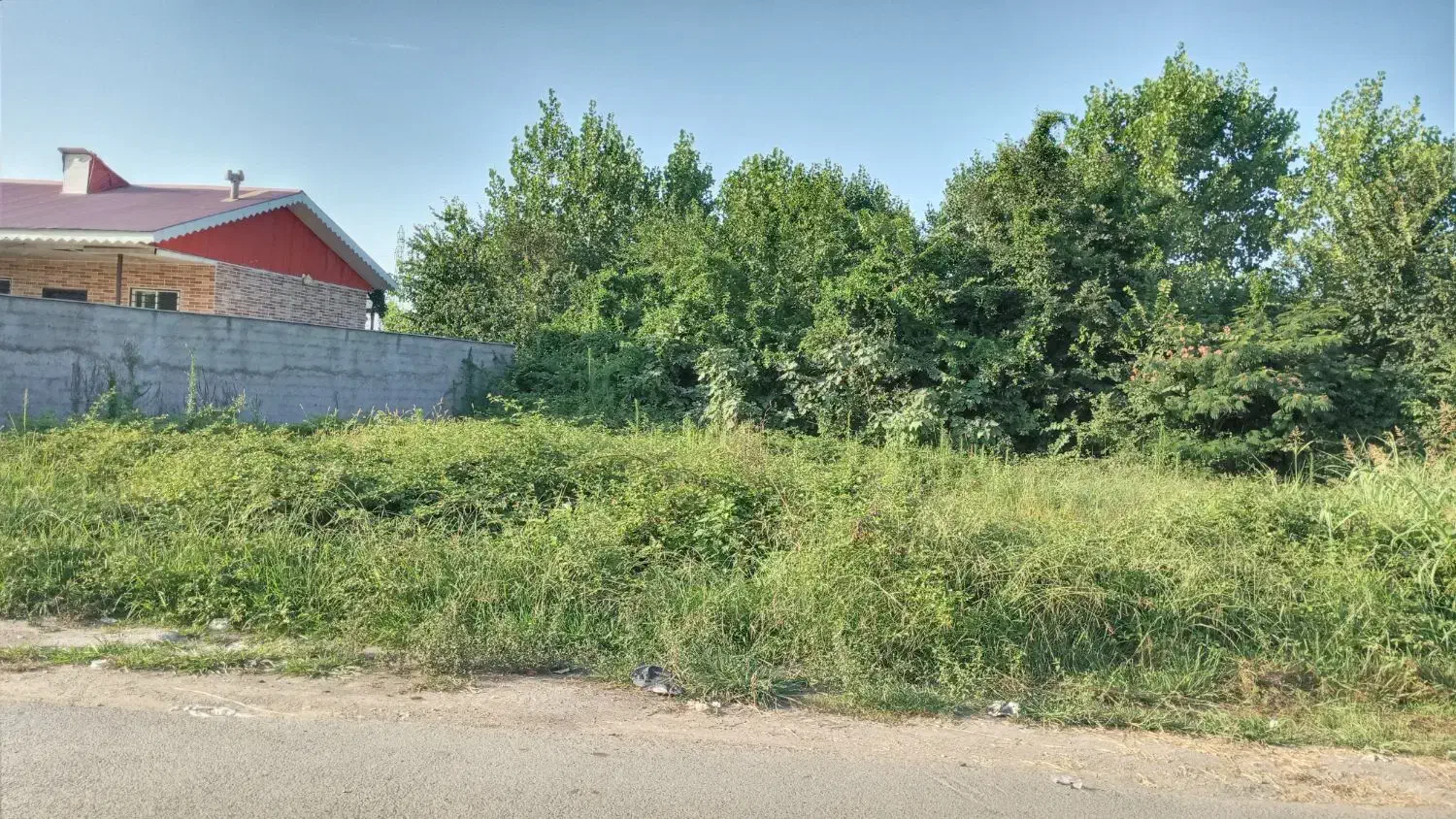 زمین نسق معتبر مناسب برای ویلاسازی|فروش زمین و ملک کلنگی|رشت, احمد گوراب|دیوار