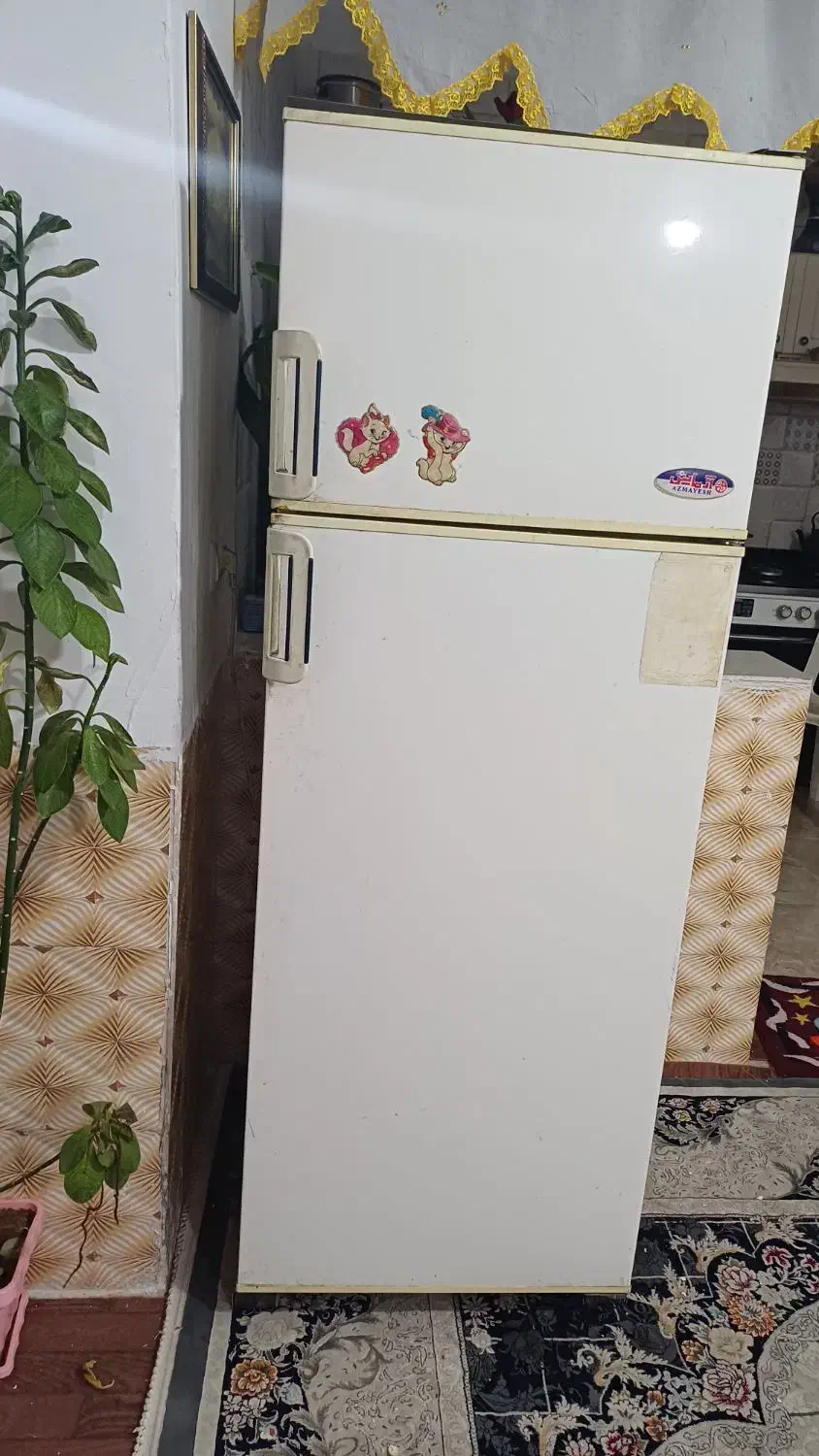 یخچال و دوچرخه|یخچال و فریزر|شیراز, شهرک ترکان|دیوار