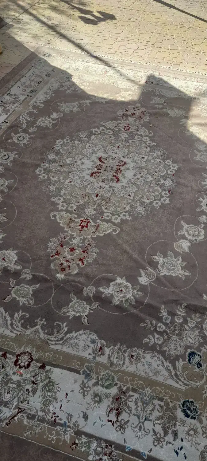 یک جفت قالی ۱۲متری گردویی تمام نخ جفتش ۸۶۰۰|فرش|قوچان, |دیوار