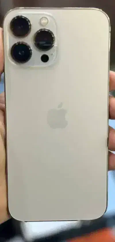 فـروش انواع آیـفون قیمت مناسب شروع قیمت از۱م|حراج|کرج, میدان میوه و تره بار مرکزی|دیوار