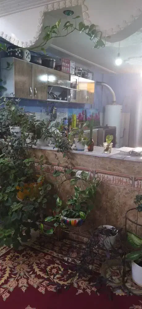 خونه اجاره ای|اجارهٔ خانه و ویلا|یاسوج, |دیوار