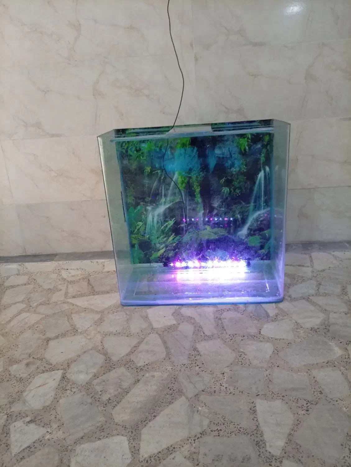 شیشه خمه آکواریوم همراه با متعلقات|ماهی|رشت, نظری|دیوار
