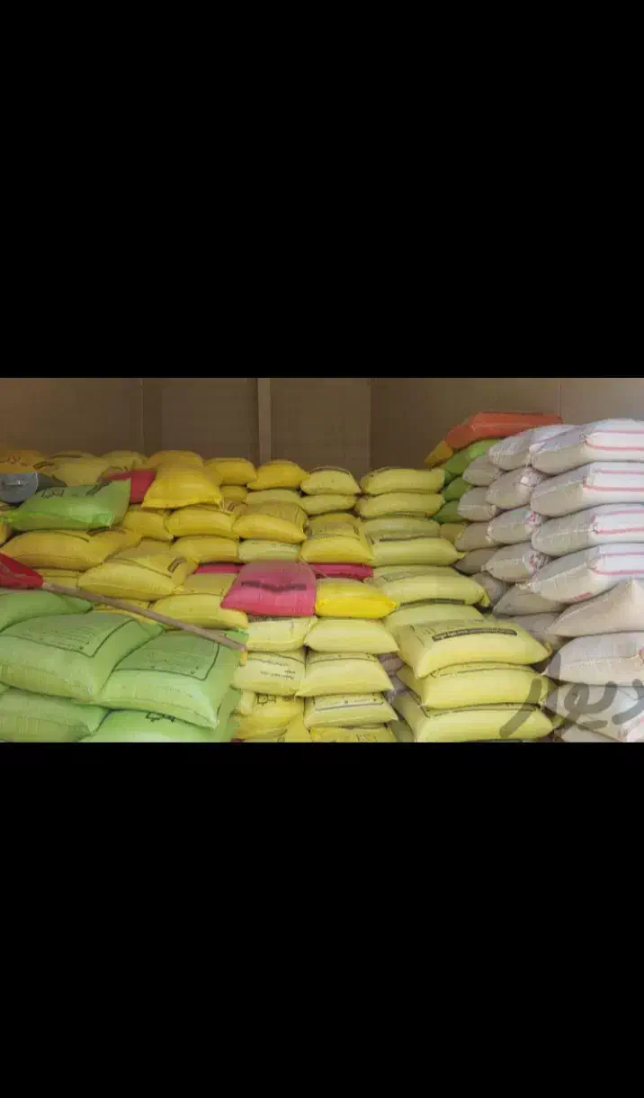 جو خارجی|لوازم جانبی حیوانات|رامهرمز, |دیوار