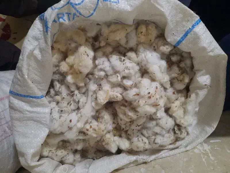 پنبه کورکی|رختخواب، بالش، پتو|تایباد, |دیوار