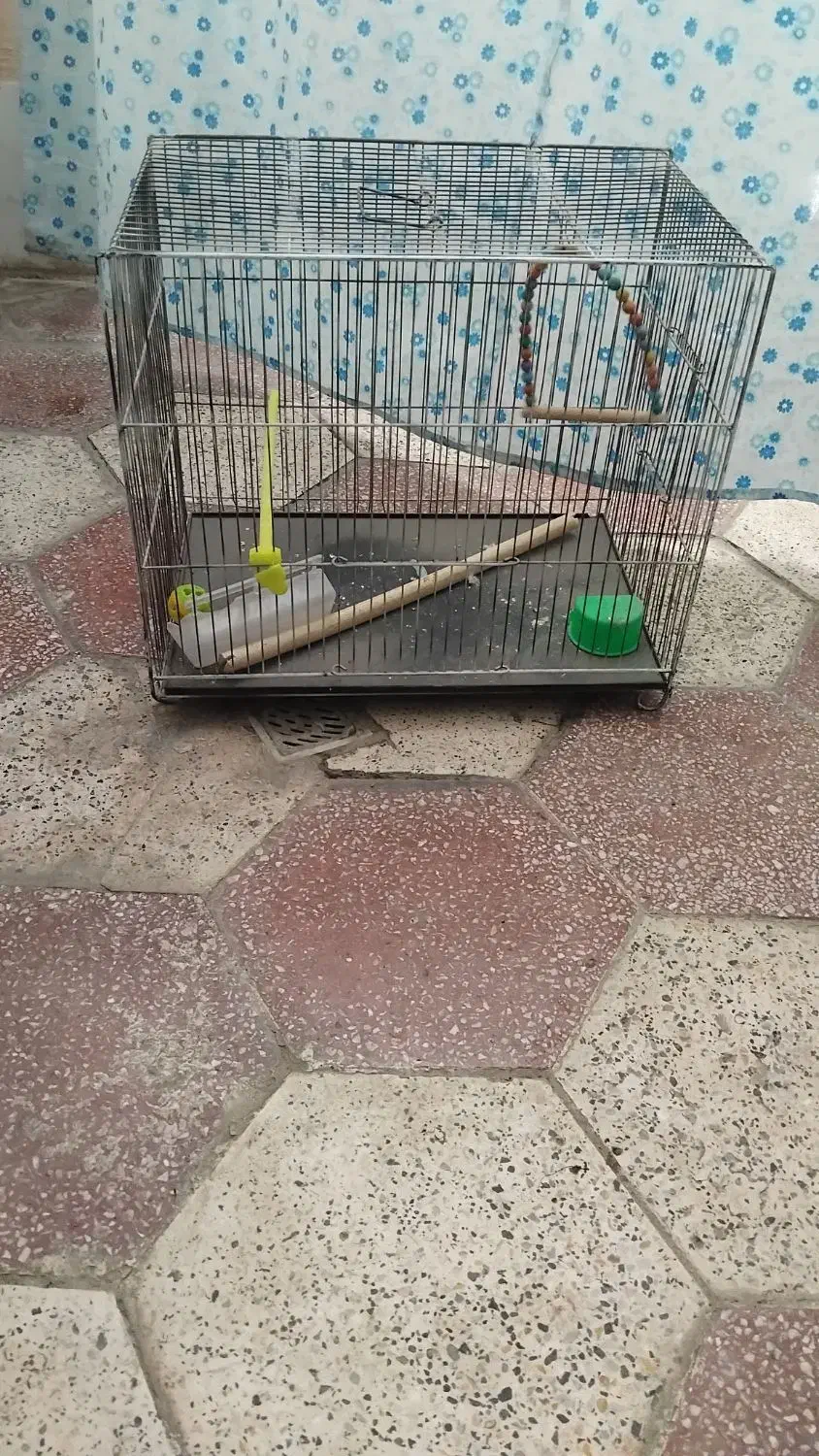 قفس|لوازم جانبی حیوانات|مشهد, شهید قربانی|دیوار