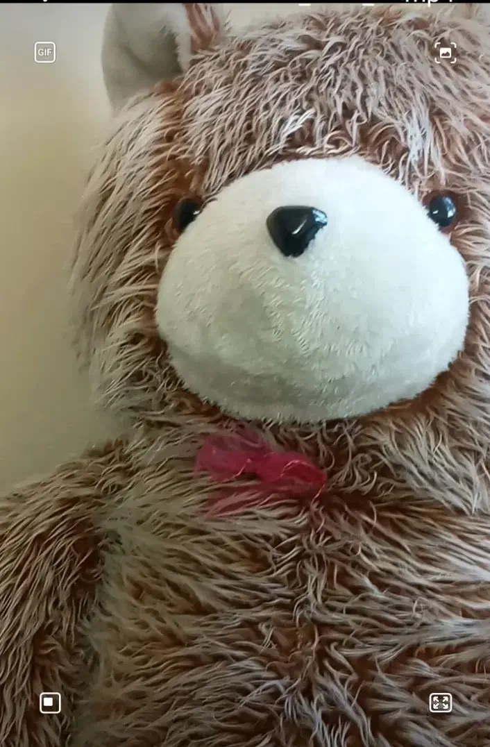 خرس خیلی بزرگ هدیه ولنتاین بوده|اسباب‌‌بازی|ورامین, ورامین|دیوار