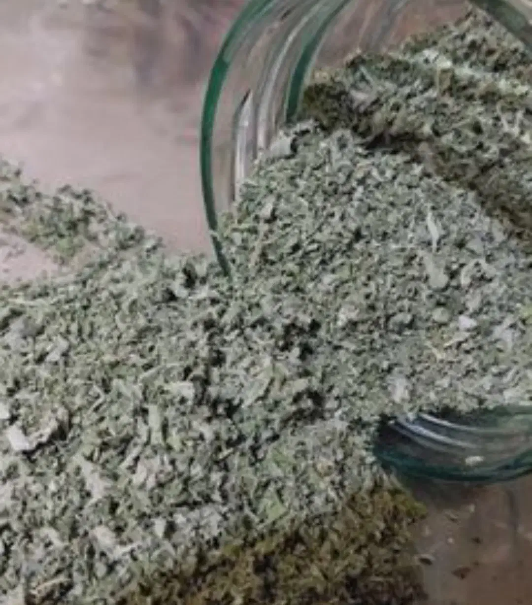 پونه کوهی کیلویی ۵۰۰|خوردنی و آشامیدنی|تربت جام, مسکن مهر|دیوار