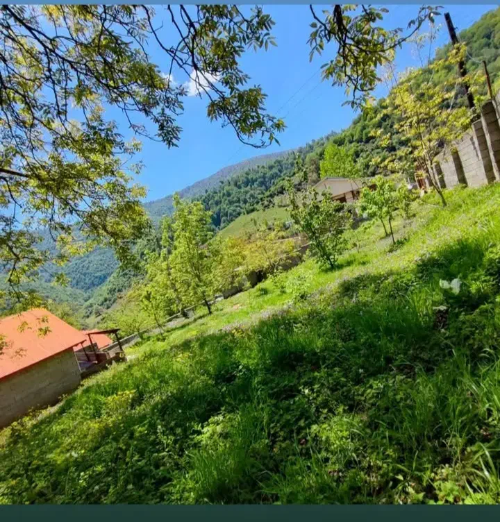 1000متر زمین مسکونی سند تک برگ در دل طبیعت|فروش زمین و ملک کلنگی|رضوانشهر, |دیوار