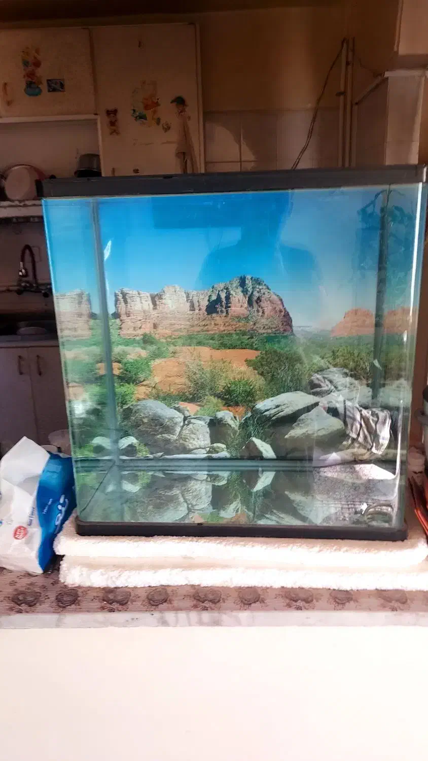 آکواریوم و پمپ هوا  وبخاری|ماهی|زاهدان, |دیوار