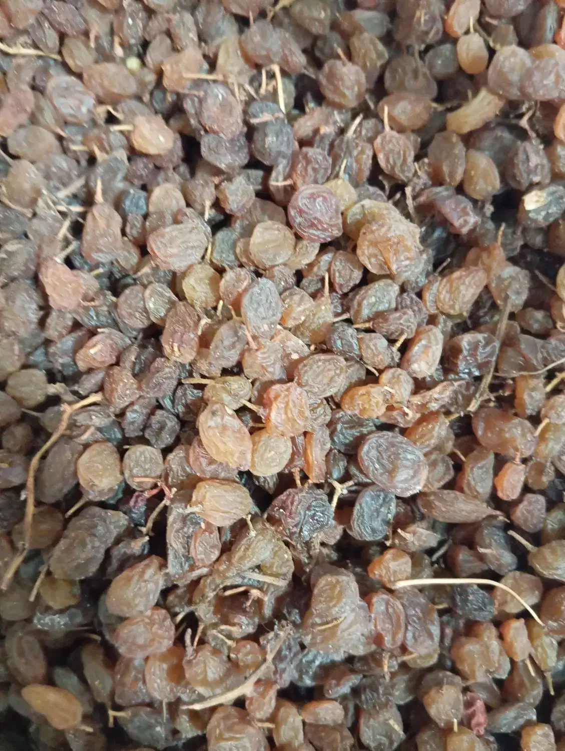 کشمش معمولی|خوردنی و آشامیدنی|شیروان (خراسان), |دیوار