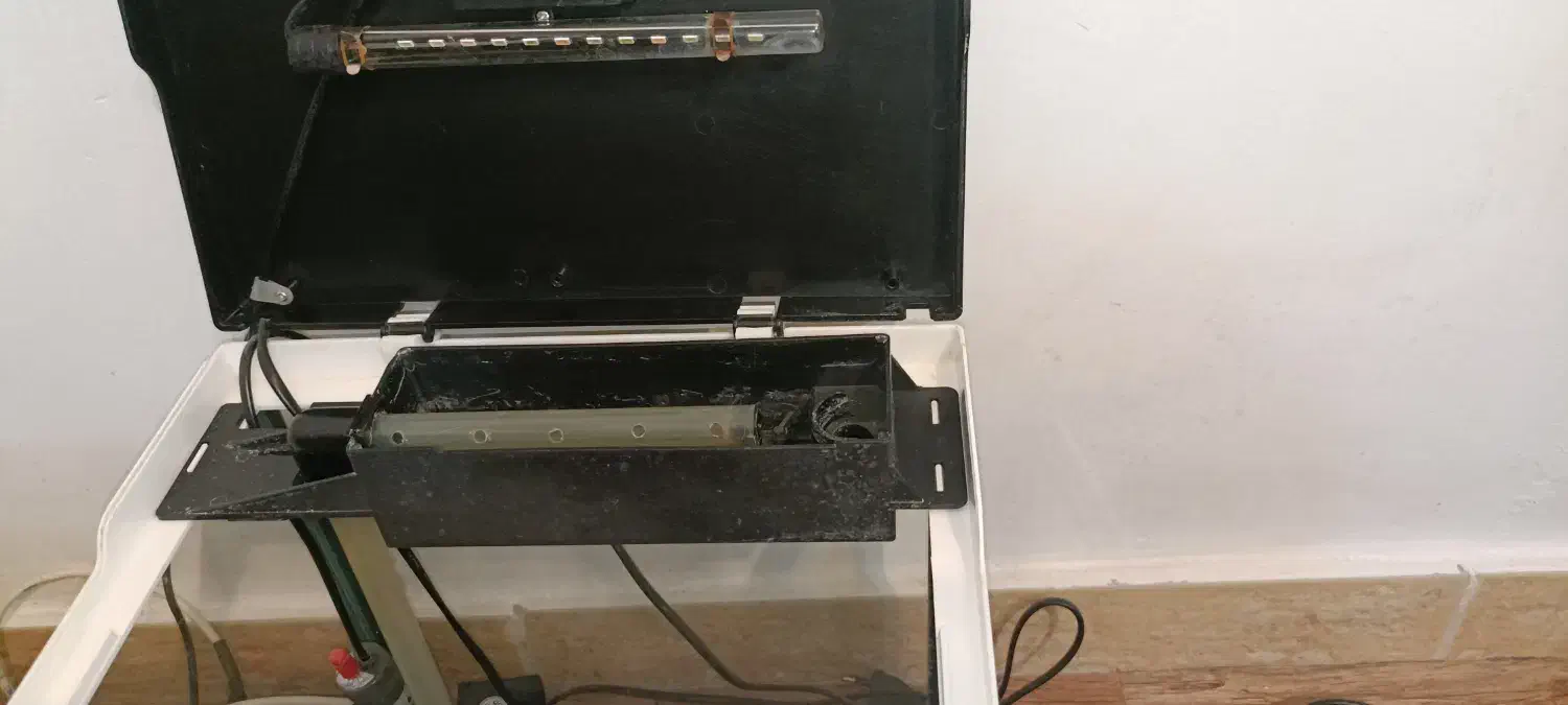 آکواریوم|ماهی|رشت, استادسرا|دیوار