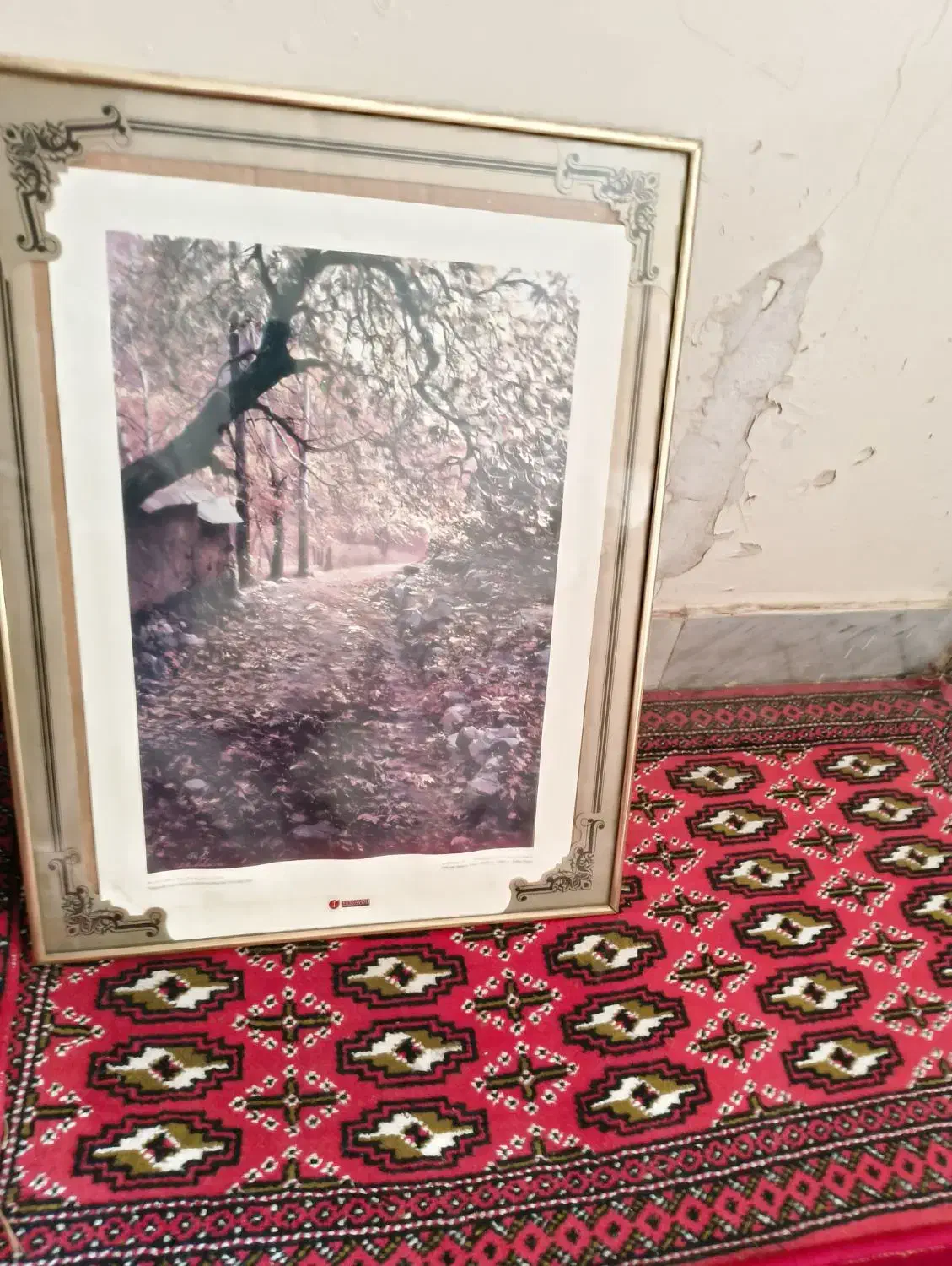 قاب عکس|تابلو، نقاشی، عکس|اراک, |دیوار