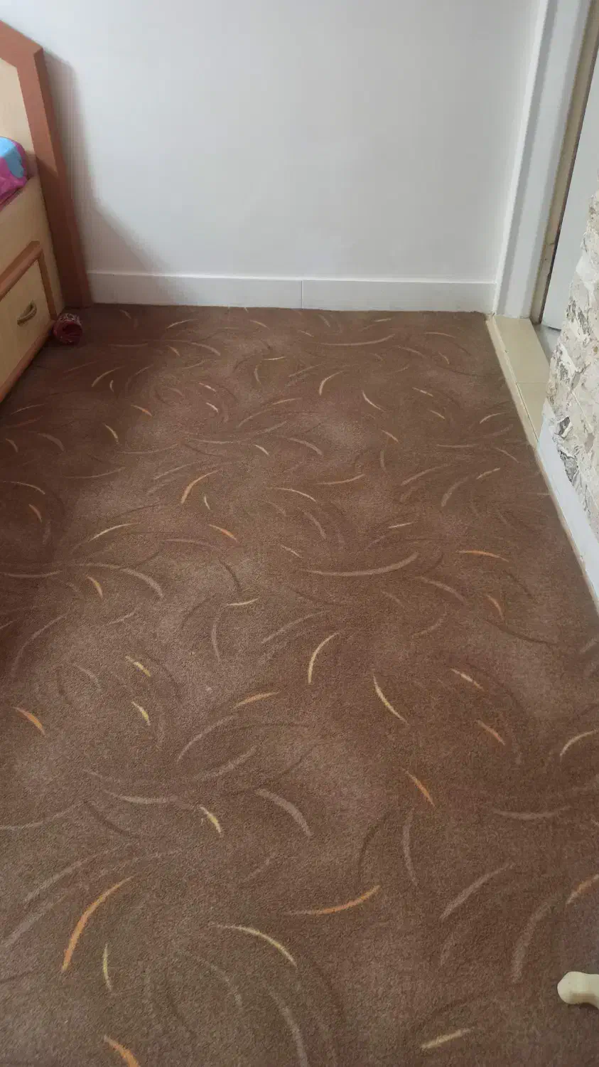 موکت|موکت|کرج, اصفهانیها|دیوار