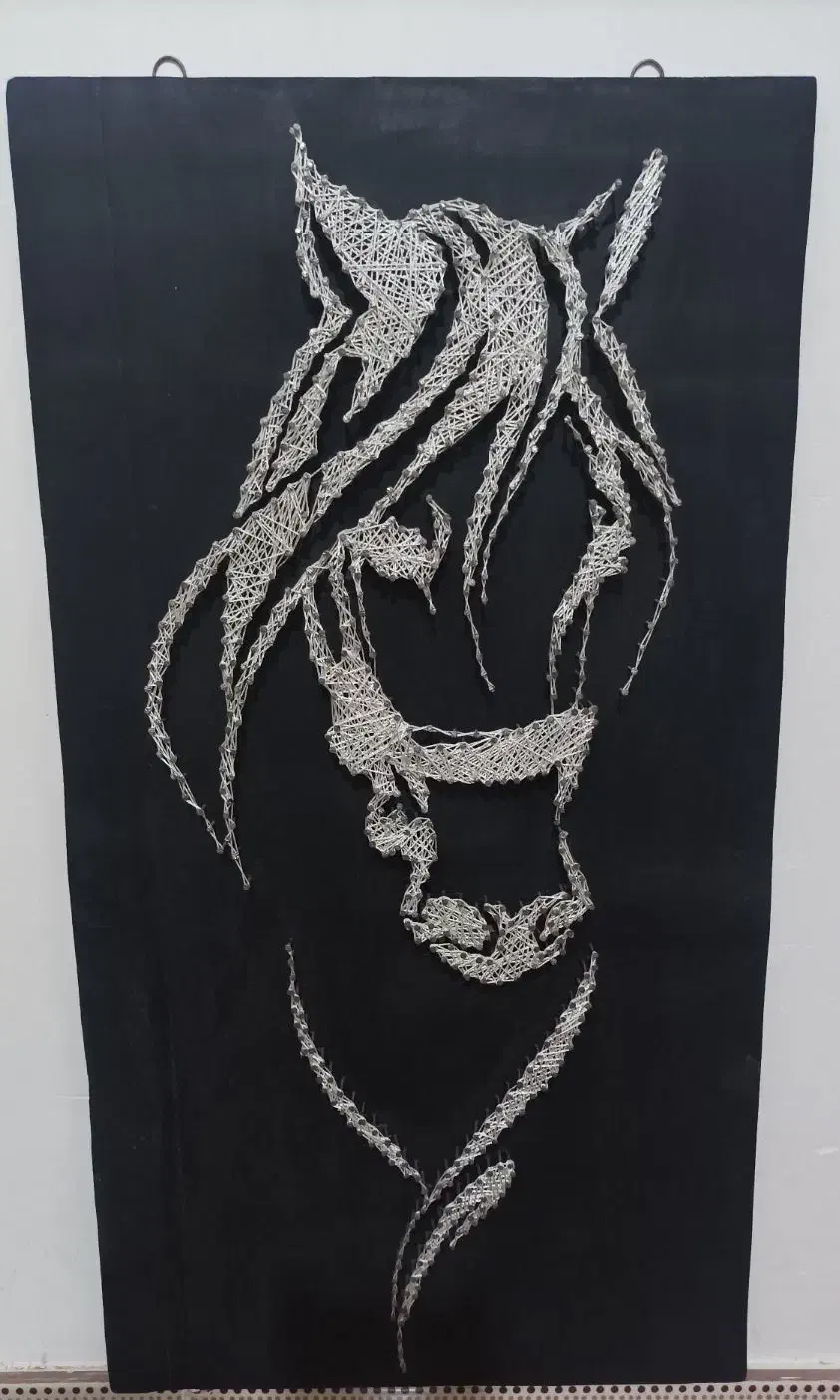 تابلو استرینگ آرت (نخ و میخ)|تابلو، نقاشی، عکس|گنبد کاووس, |دیوار