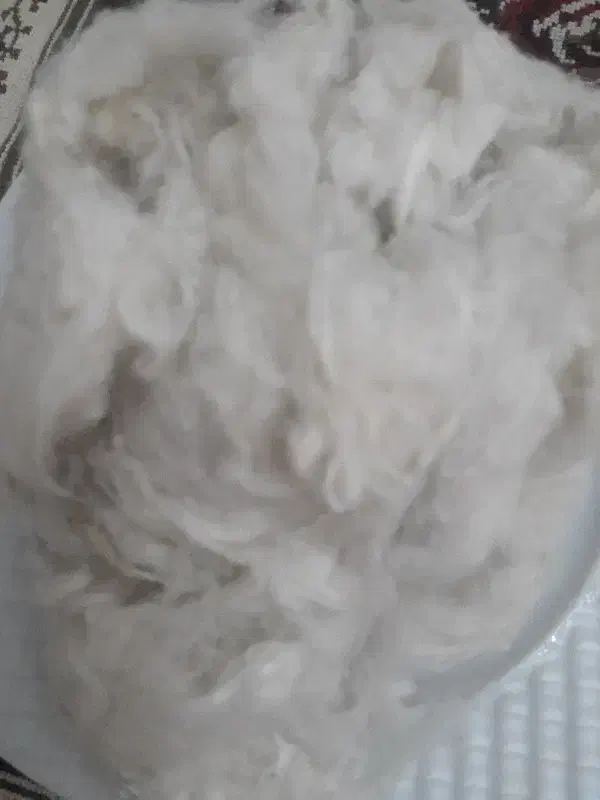 لحاف وتشک|رختخواب، بالش، پتو|تبریز, |دیوار